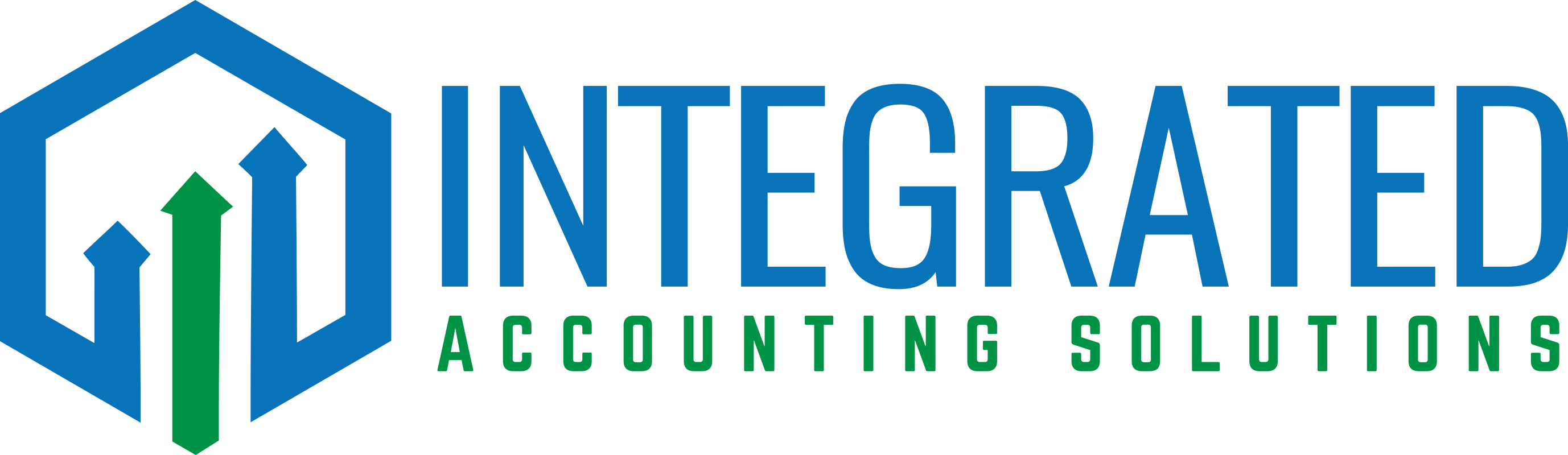 Integrated Accounting Solutions